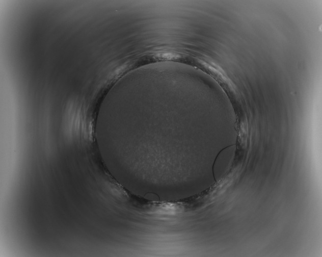 X0000094940330200711291358