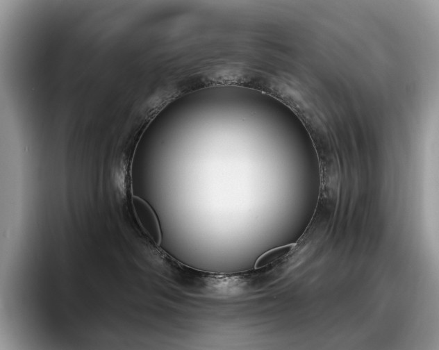 X0000094940334200711291358