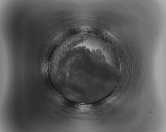 X0000094940336200711291358