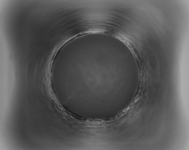 X0000094940337200711291357