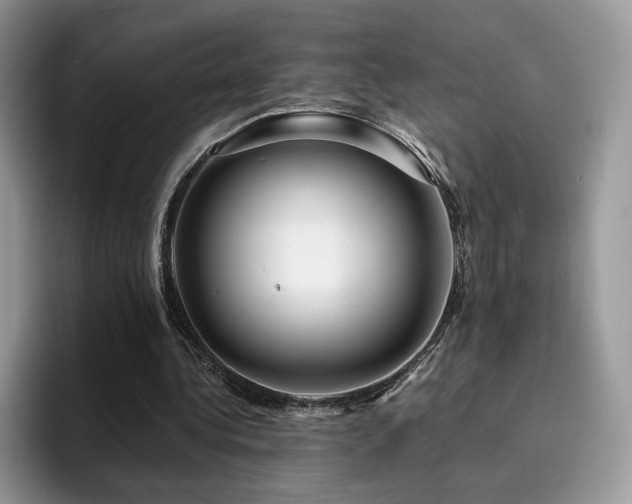 X0000094940340200711291358
