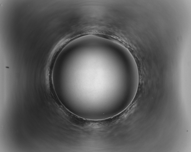 X0000094940341200711291358