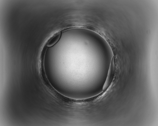 X0000094940342200711291358