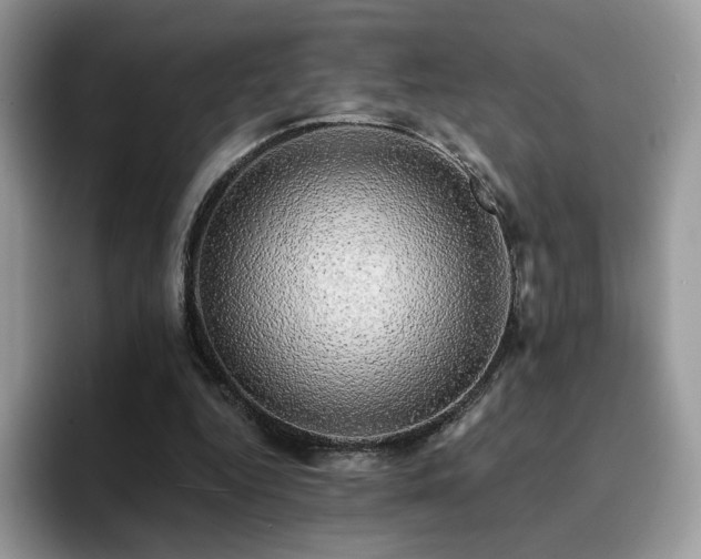 X0000094940344200711291358