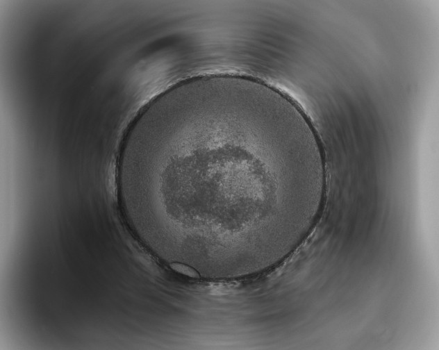 X0000094940345200711291358