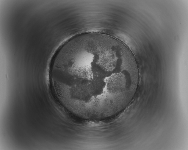 X0000094940346200711291358