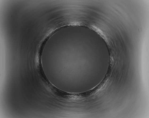 X0000094940347200711291358