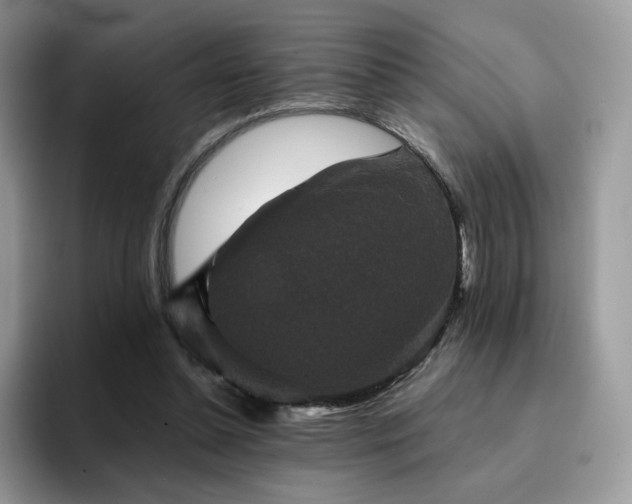 X0000094940348200711291358