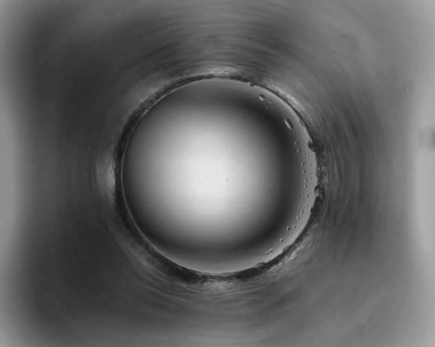 X0000094940350200711291358