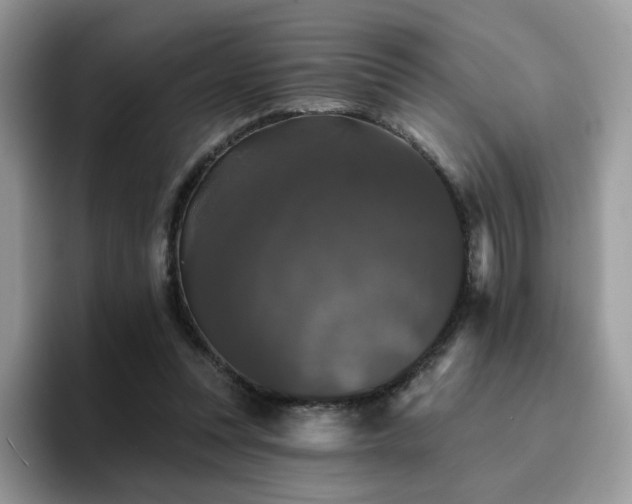 X0000094940351200711291358