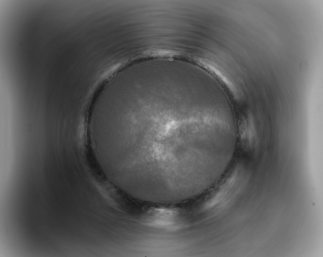 X0000094940352200711291358
