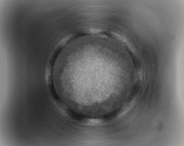 X0000094940360200711291358