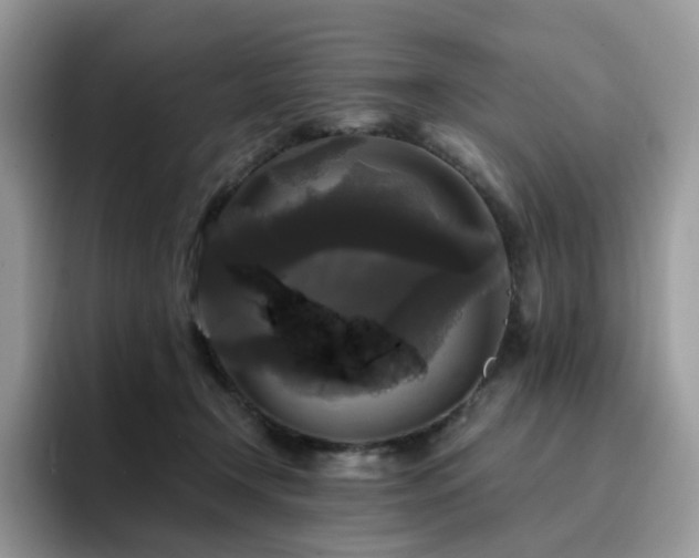 X0000094940366200711291358