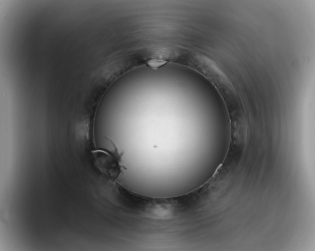 X0000094940368200711291358
