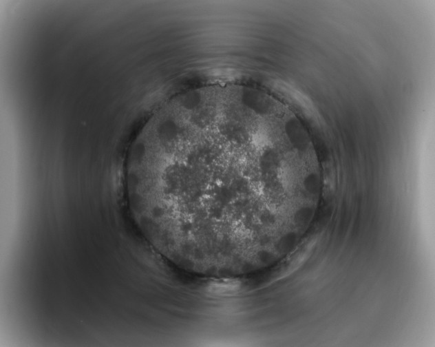 X0000094940369200711291358
