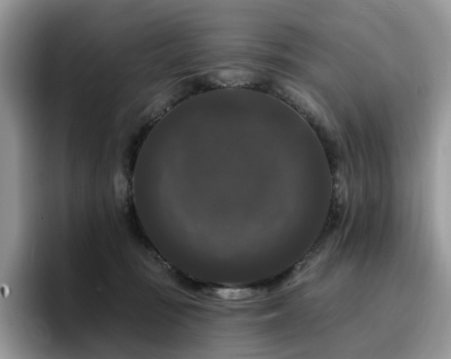 X0000094940371200711291358