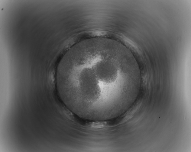 X0000094940373200711291358