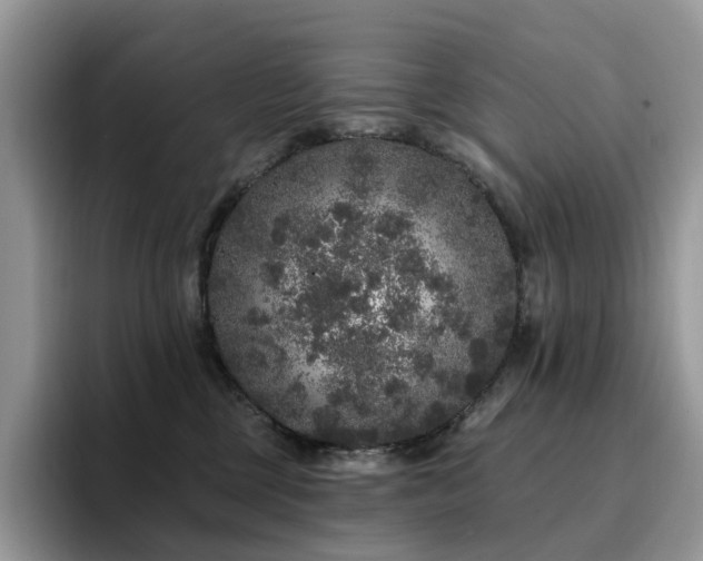 X0000094940377200711291358