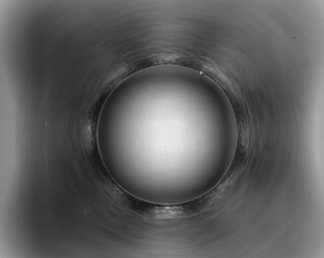 X0000094940378200711291358
