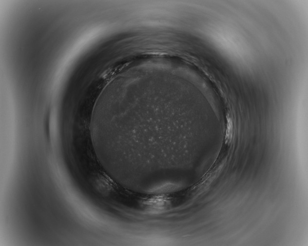 X0000094940383200711291358