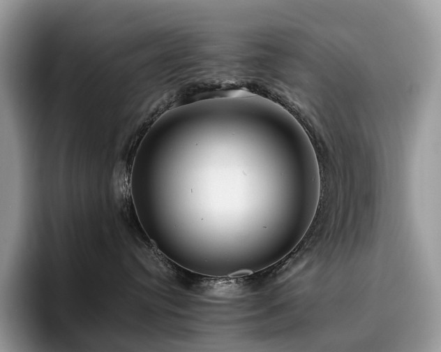 X0000094940384200711291358