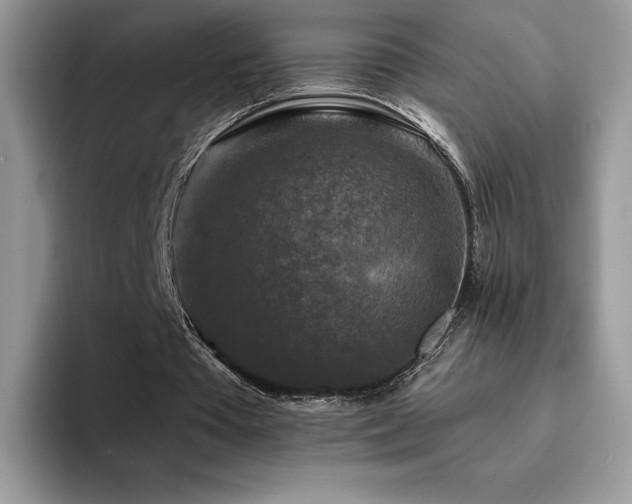 X0000094940385200711291357
