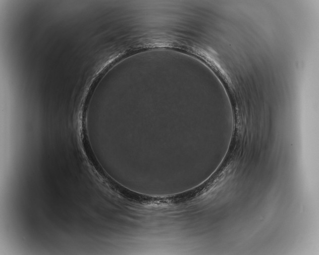 X0000094940386200711291357