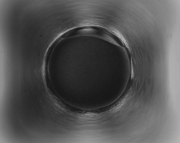 X0000094940387200711291357