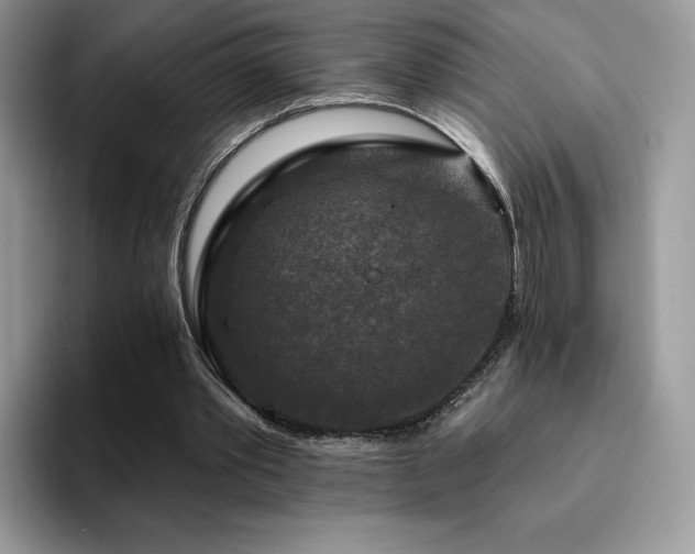 X0000094940389200711291357