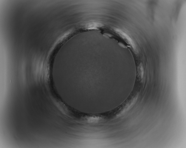 X0000094940400200711291357