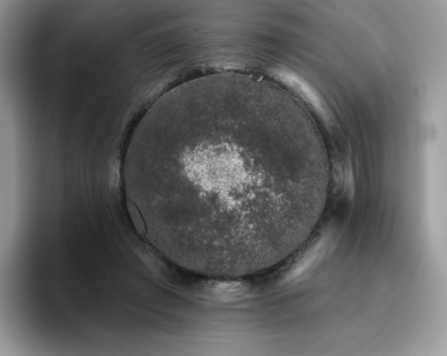 X0000094940401200711291357