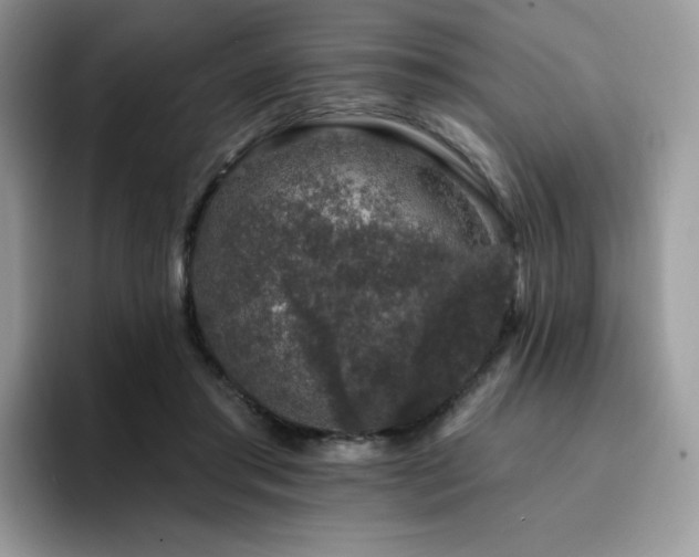 X0000094940405200711291357