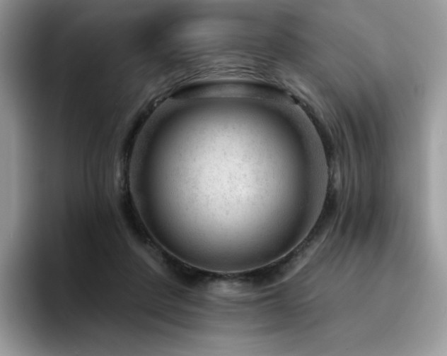 X0000094940408200711291357