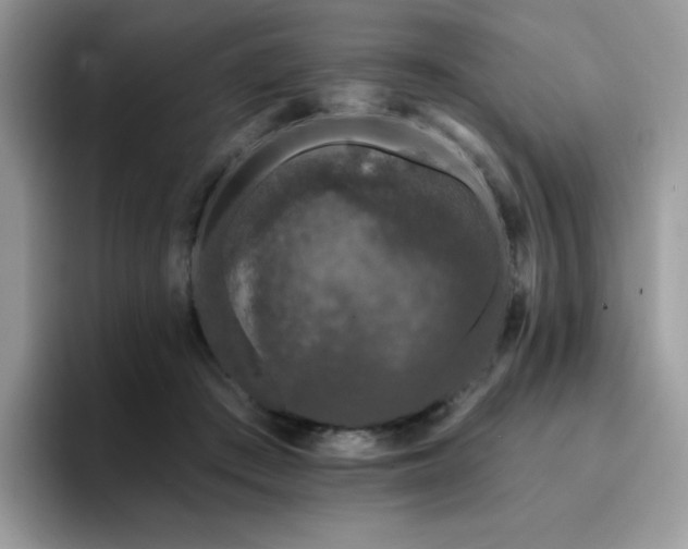 X0000094940409200711291357