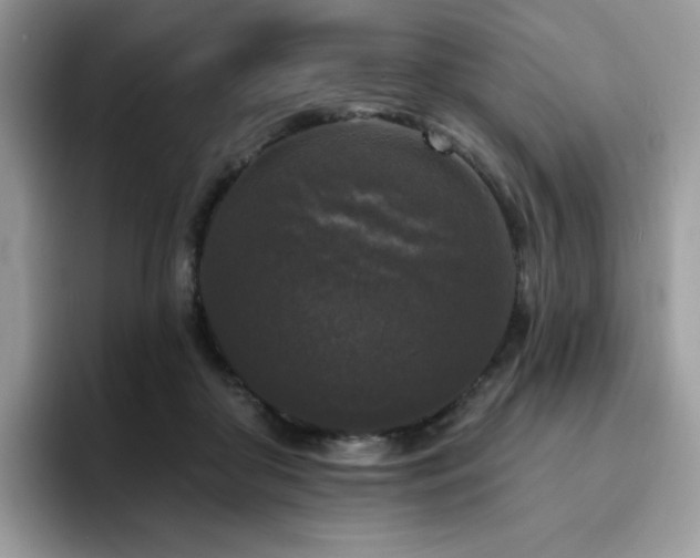 X0000094940410200711291357