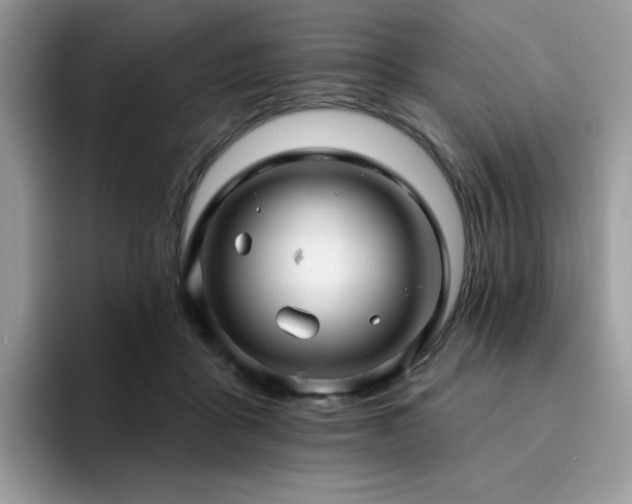 X0000094940411200711291357