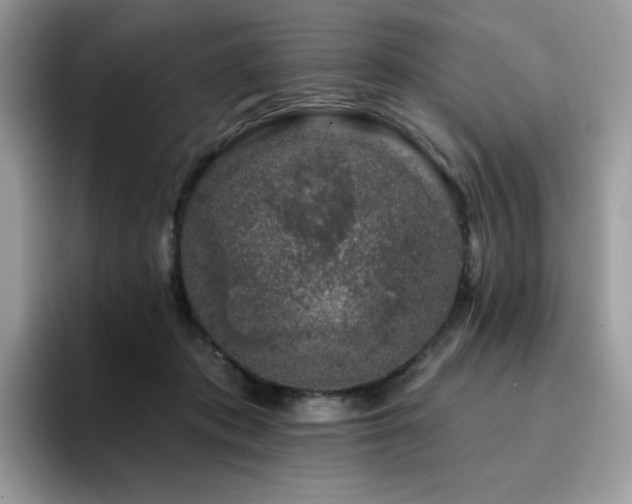 X0000094940413200711291357