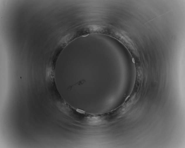 X0000094940419200711291357