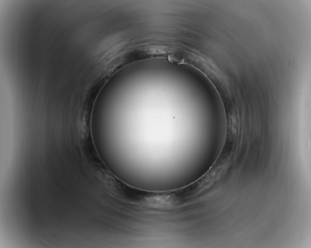 X0000094940422200711291357
