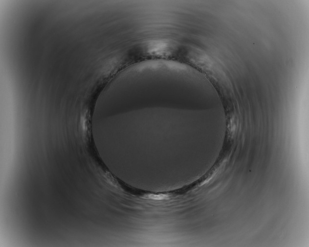 X0000094940424200711291357