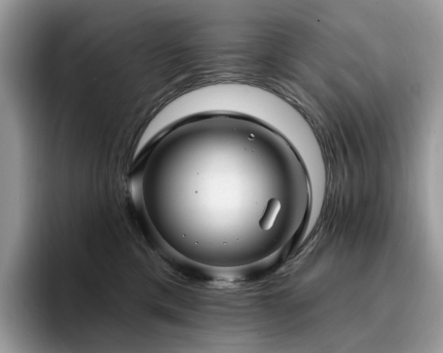 X0000094940425200711291357