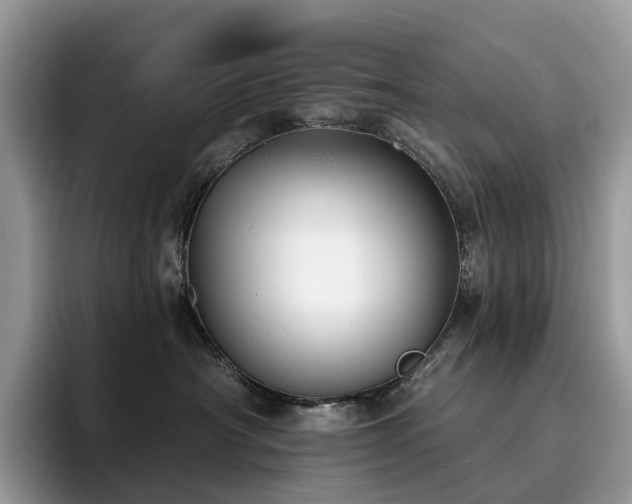 X0000094940430200711291357