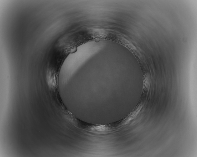 X0000094940431200711291357