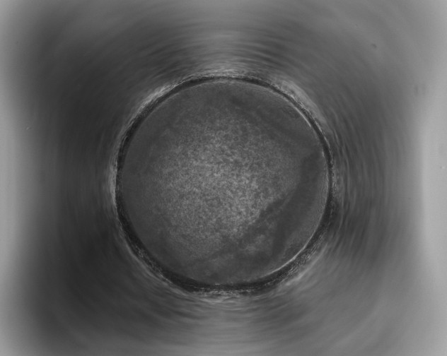 X0000094940434200711291356
