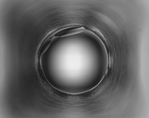 X0000094940435200711291356