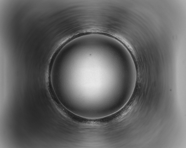 X0000094940437200711291356