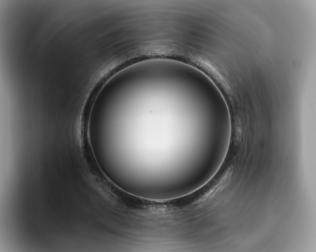 X0000094940439200711291356