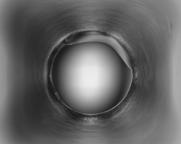 X0000094940440200711291356