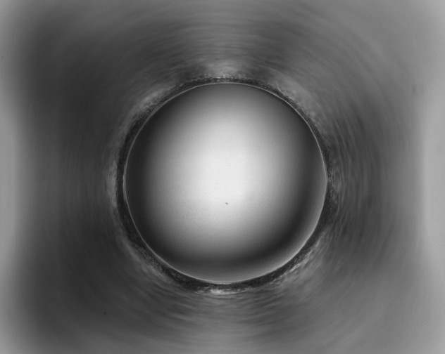 X0000094940442200711291356