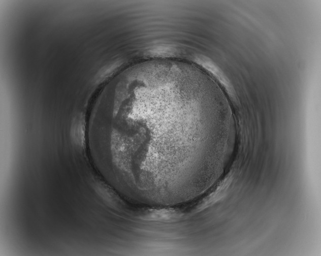 X0000094940446200711291356